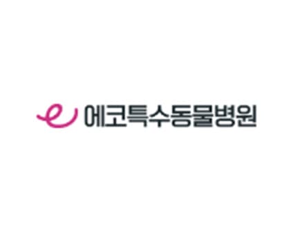 업체20